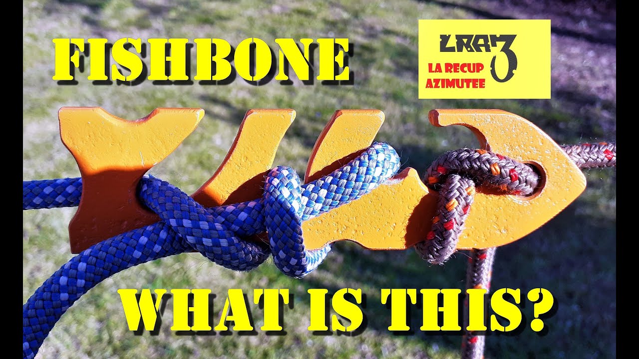 Fishbone connector