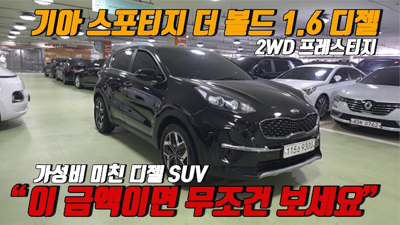 2026년2월20일 유튜브 지원 스포티지