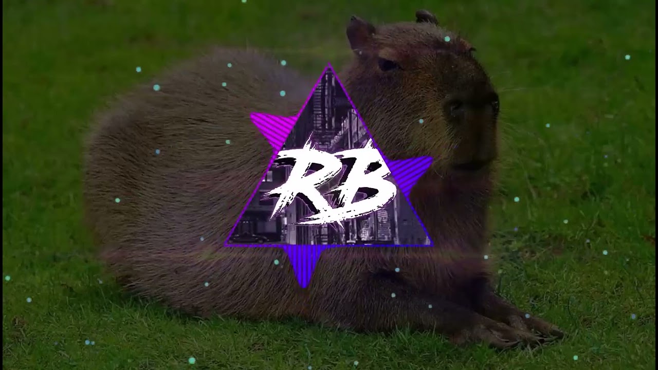 Сто-Личный Она-Нас - Capybara | Phonk Edition