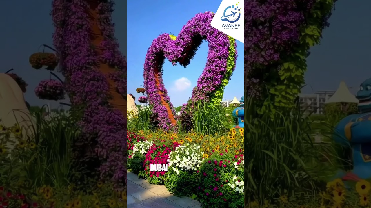 📸✨ Discover the Most Instagrammable Places in Dubai! ✨📸 | Dubai | Visit Dubai | Avanee Tour & Travel