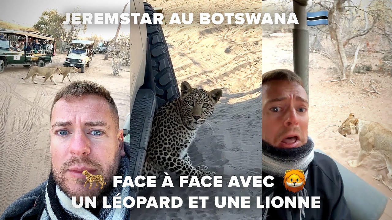 JEREMSTAR AU BOTSWANA 🇧🇼 FACE À FACE AVEC UN LÉOPARD ET UNE LIONNE !