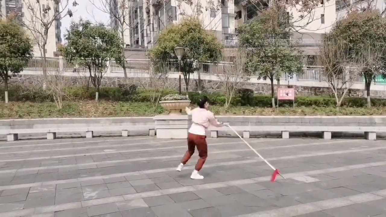 陈氏太极梨花枪夹白猿棍