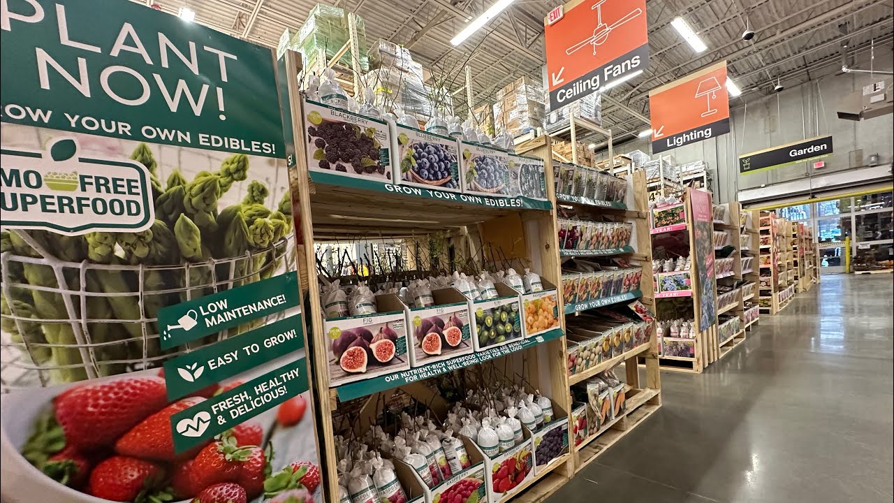 НОВИНКИ HOME DEPOT 2024 ГОДА🤩САДИТЕ СЪЕДОБНЫЕ РАСТЕНИЯ, РАСТЕНИЯ С ОТКРЫТЫМИ КОРНЯМИ, МНОГОЛЕТНИК...