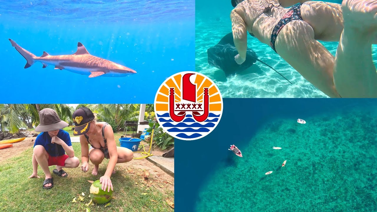 This is why you NEED to visit Mo'orea in 2023--Stunning 4K