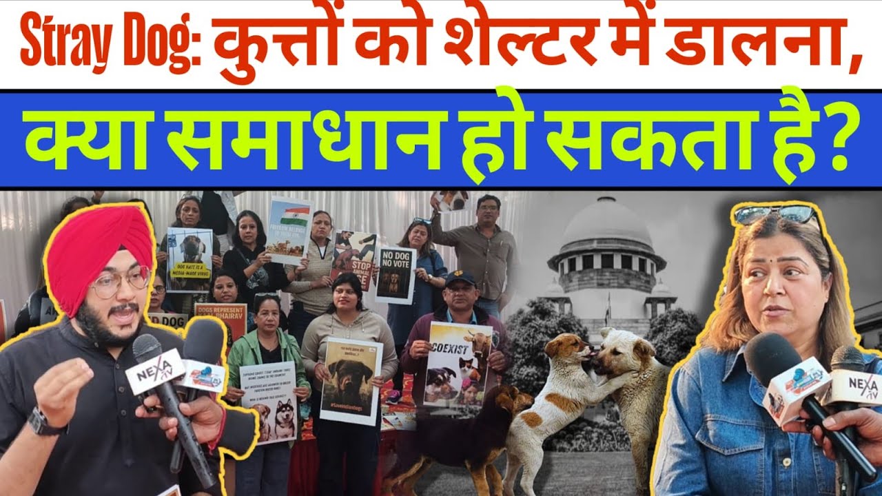 Stray Dog: Is putting dogs in shelters the solution? Dog protest l Delhi News