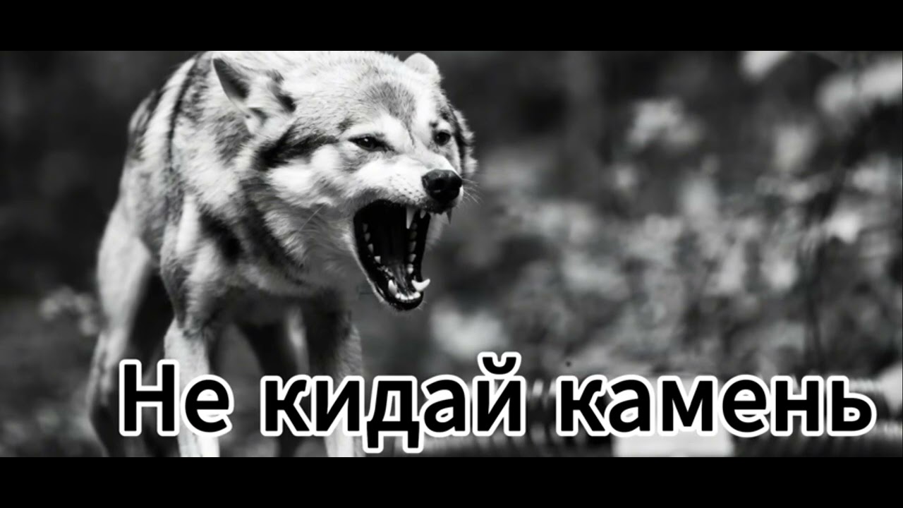 Не кидай камень 