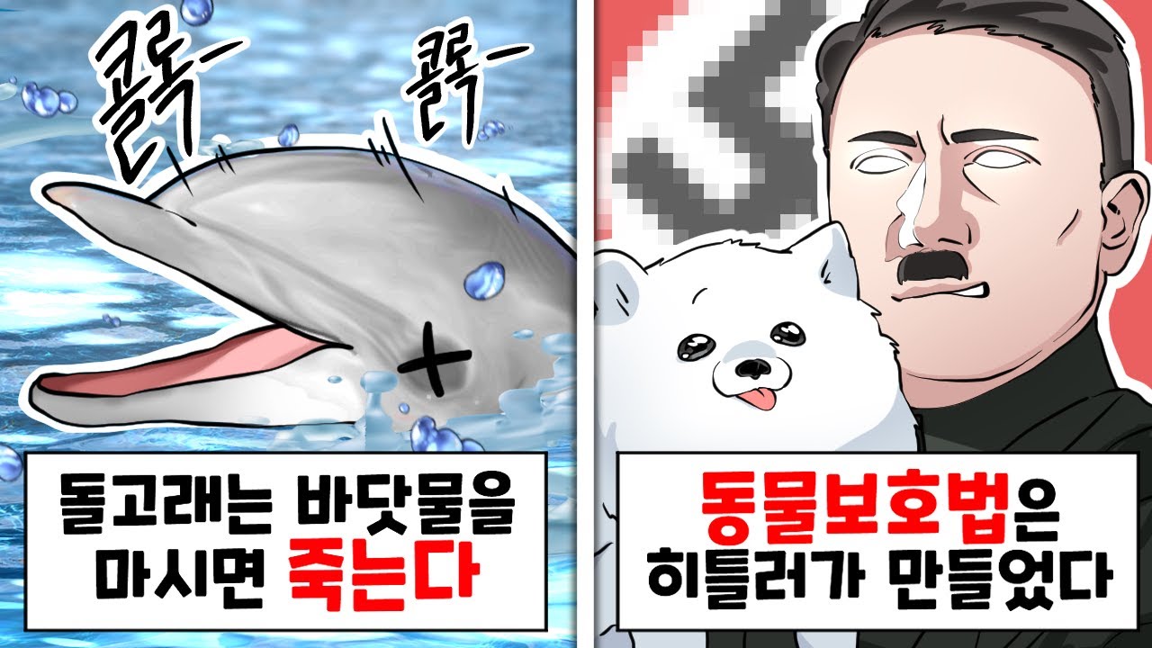 이것들이 왜 다 진짜임??? [이왜진 월드컵]