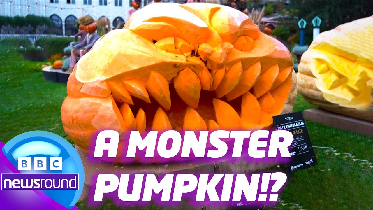 Giant SCARY Pumpkins and Skeletons in a car?! 🎃 | Strange News! | News For Kids