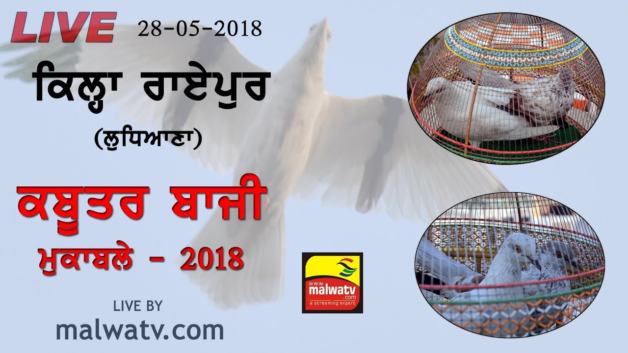 KILA RAIPUR (Ludhiana) KABOOTAR BAZI - 2018 || LIVE STREAMED VIDEO ||