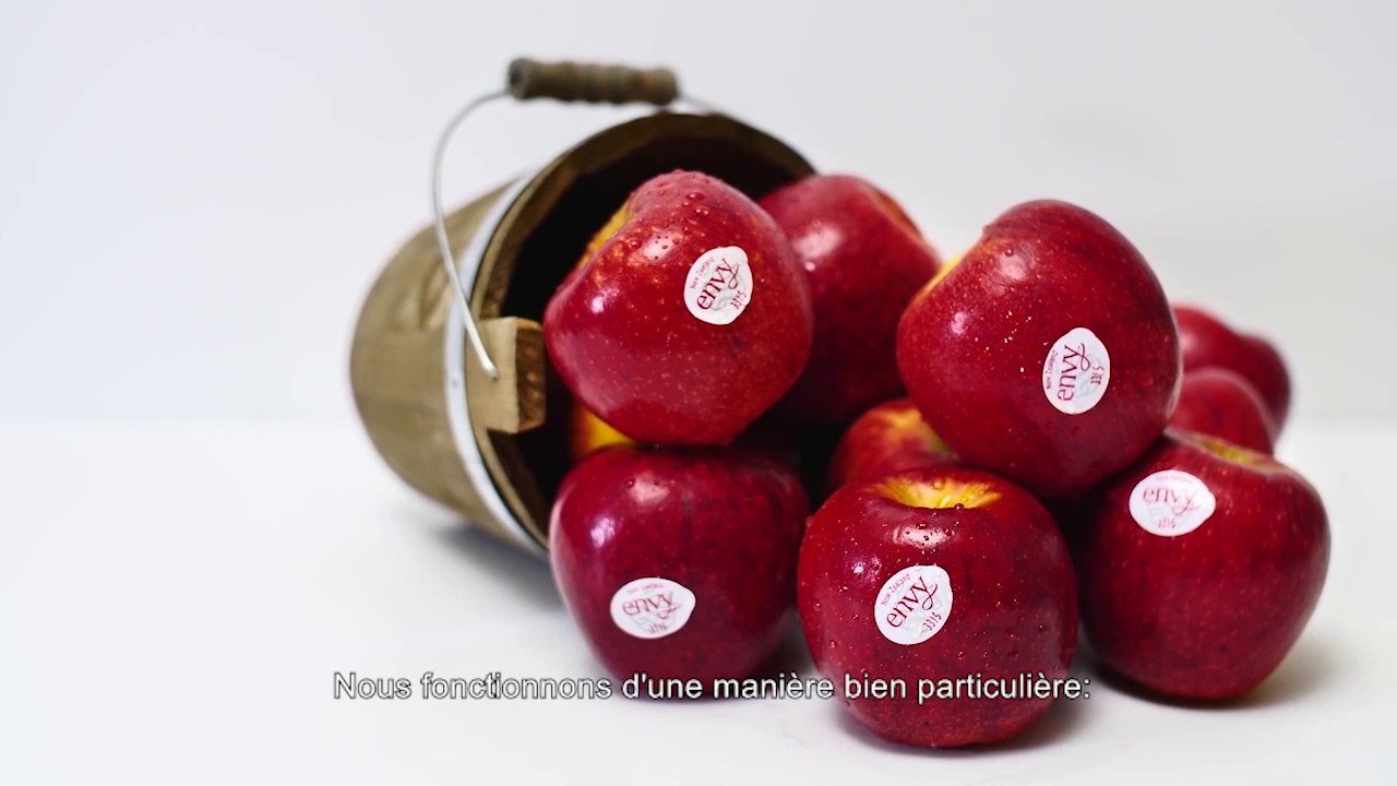 Compac Apple Case Study T&G  FR