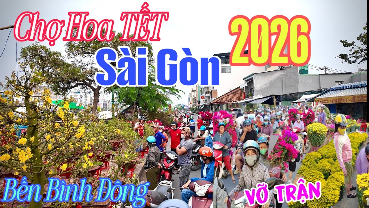 Quá Rẻ Hoa Mai Bến Bình Đông Chợ Hoa Tết Sài Gòn / Tấp Nập Giàu Nghèo Mua Hoa Tết 