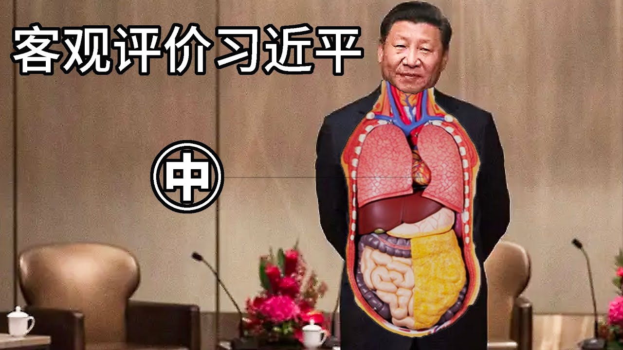客观评价习近平 ㊥，作者：方舟与中国