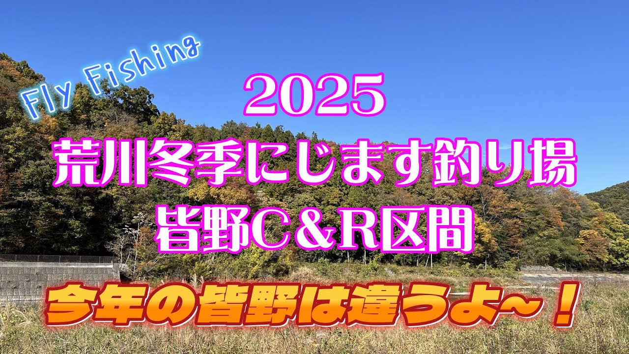 【ﾌﾗｲﾌｨｯｼﾝｸﾞ】2025年荒川冬季にじます釣場！ふっか～つ！！皆野C＆R区間！