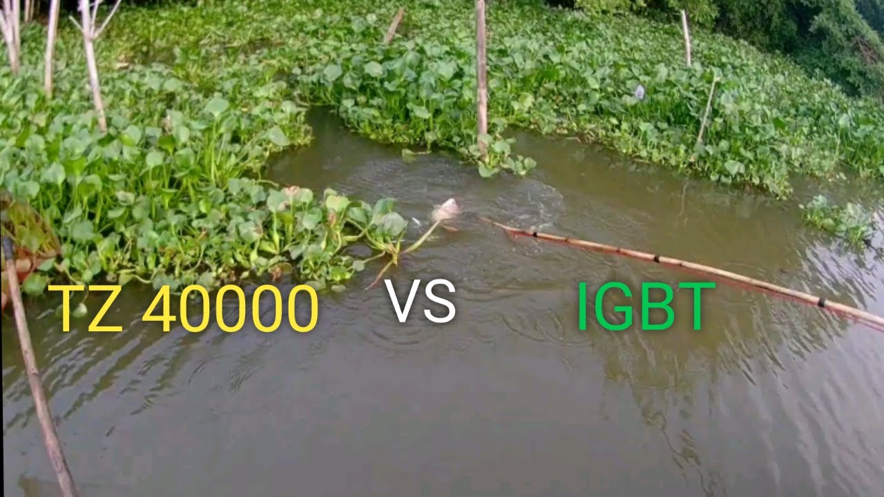 Kích thuyền, IGBT đọ sức cùng TZ 40000 cái nào hơn.
