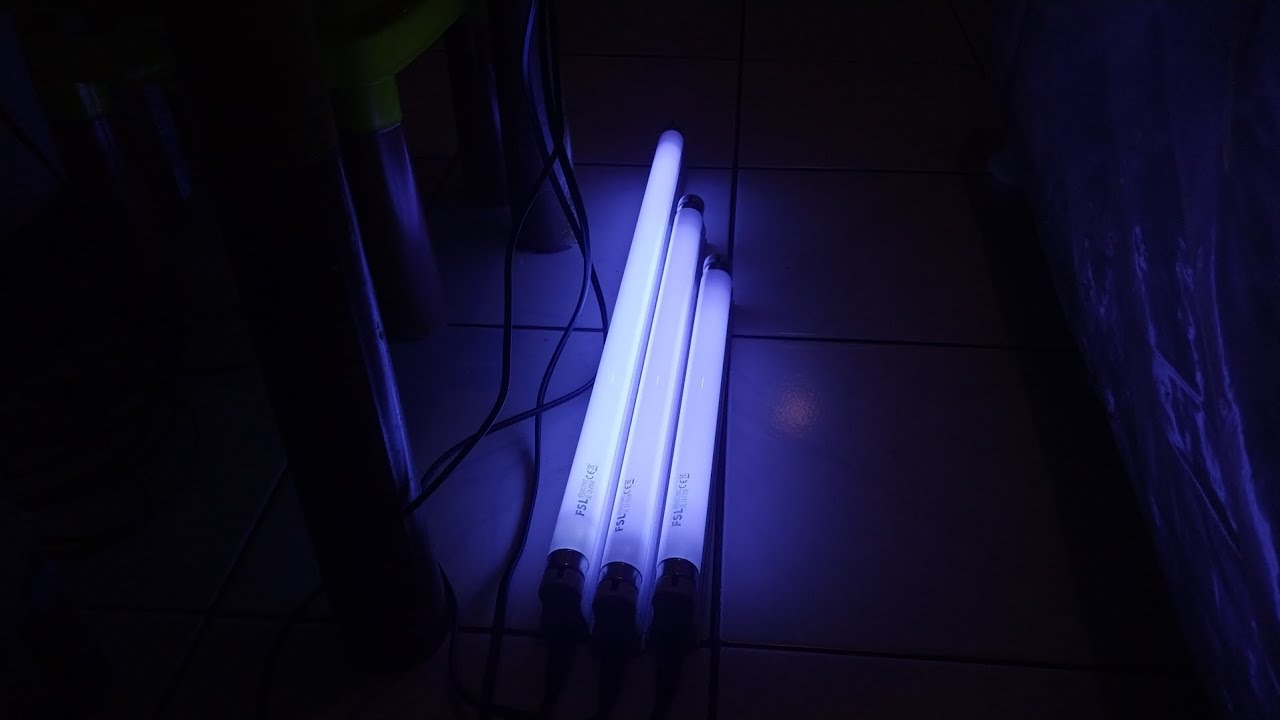 FSL Actinic BL T8 10W, 15W & 18W 🇨🇳 中国官方制造商