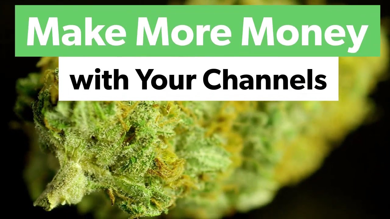Make More Money with Our Cannabis Influencer Program on Youtube & Weedtube Channels