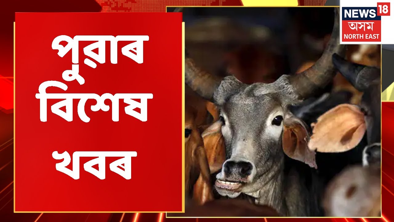 Assam News | Morning News : পুৱাৰ বিশেষ খবৰ | 19 August, 2022 | Northeast India