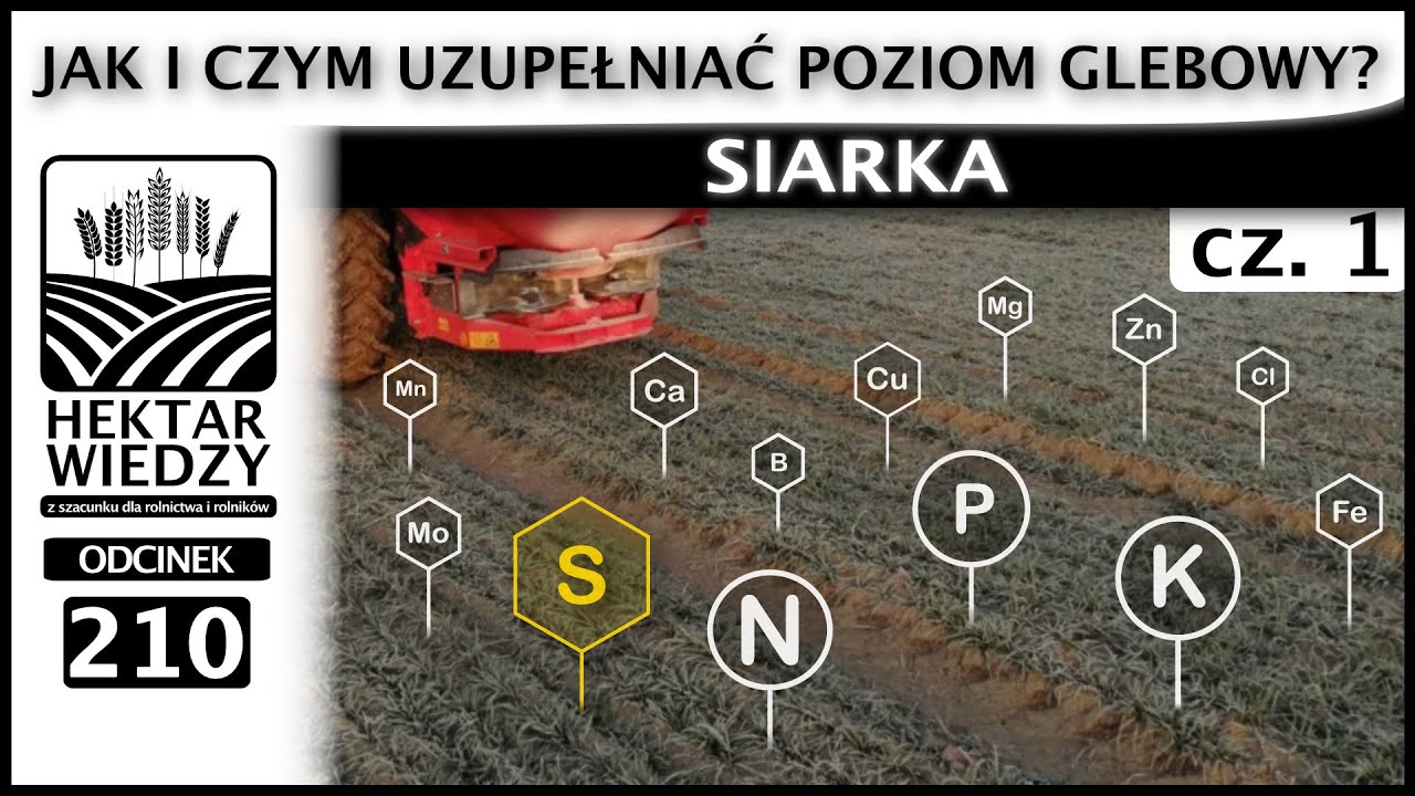 SIARKA - JAK I CZYM UZUPEŁNIAĆ POZIOM GLEBOWY? | HEKTAR WIEDZY #210