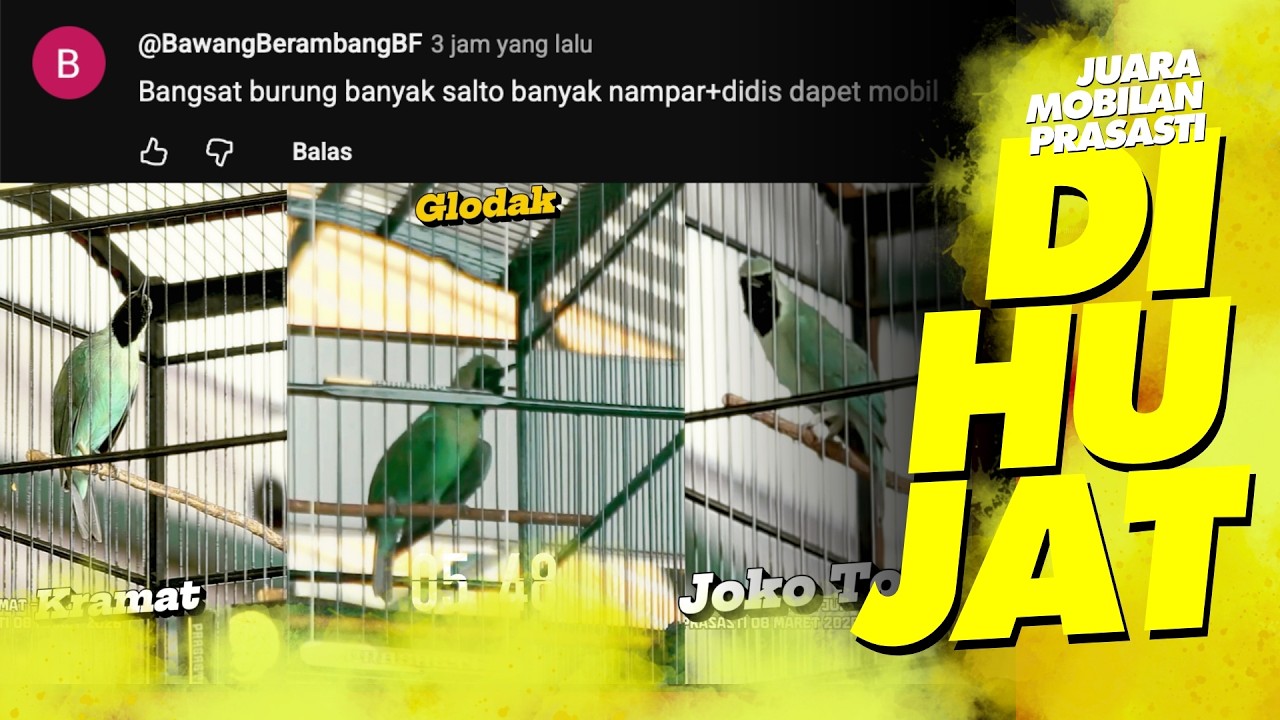 Juara Mobilan DIHUJAT NETIZEN‼️Cucak Ijo Glodak vs KRAMAT vs JOKO TOLE di Gantangan Prasasti