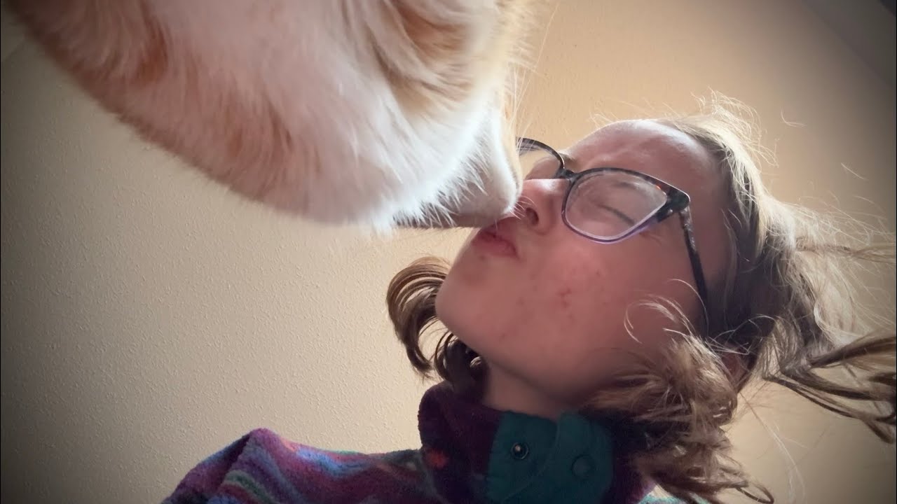 Hand Movements From Up Above ASMR ft. Axl the Cat | Lofi Monday's