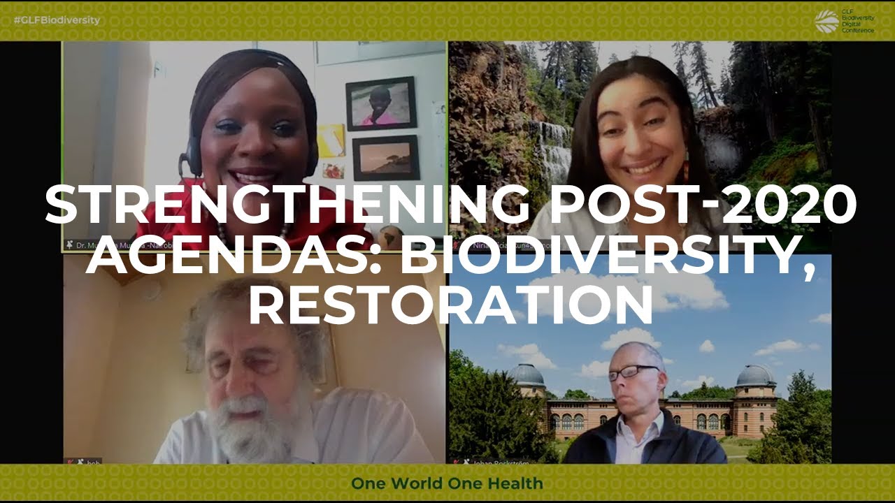 Strengthening post-2020 agendas: biodiversity, restoration
