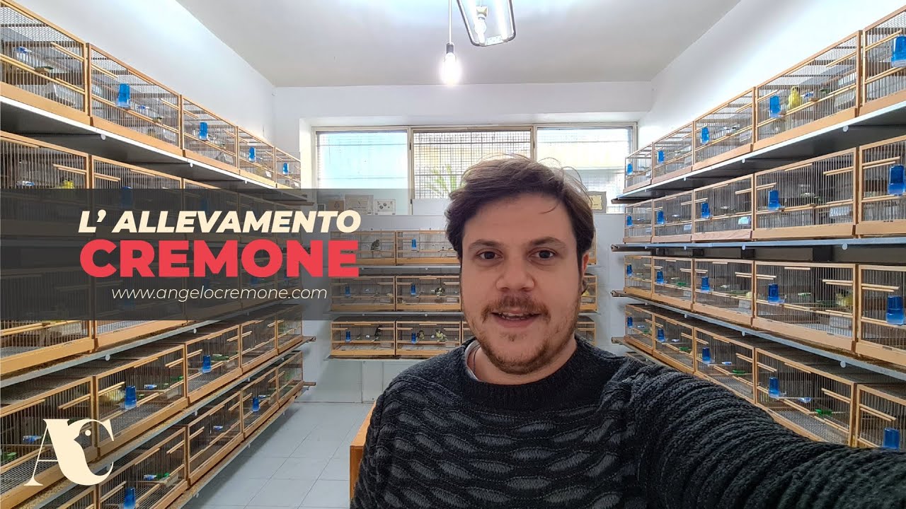 Vi presento l'allevamento Cremone