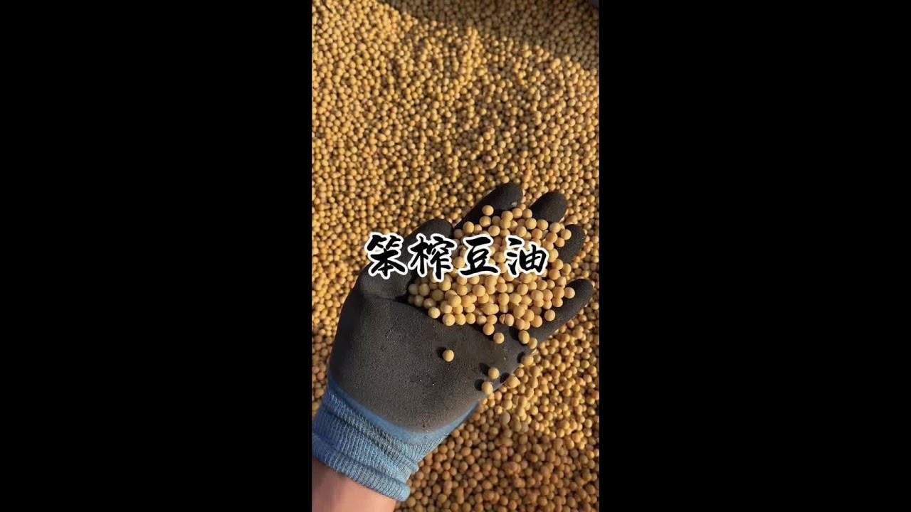 带大家看看笨榨豆油是怎么榨出来的。#我的乡村生活 #新农人计划2025 #东北的猫冬生活一步到位 #农村的冬天就是闲不住 #笨榨豆油