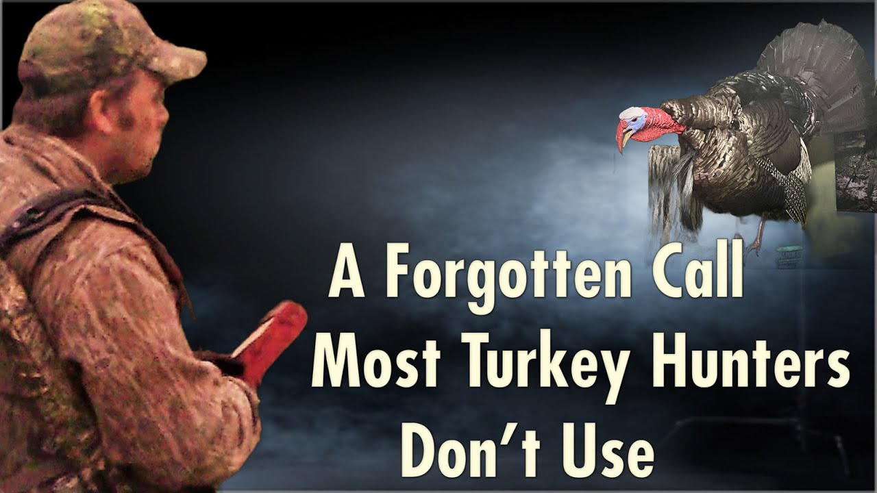 A Forgtten Call Most Turkey Hunters Don't Use