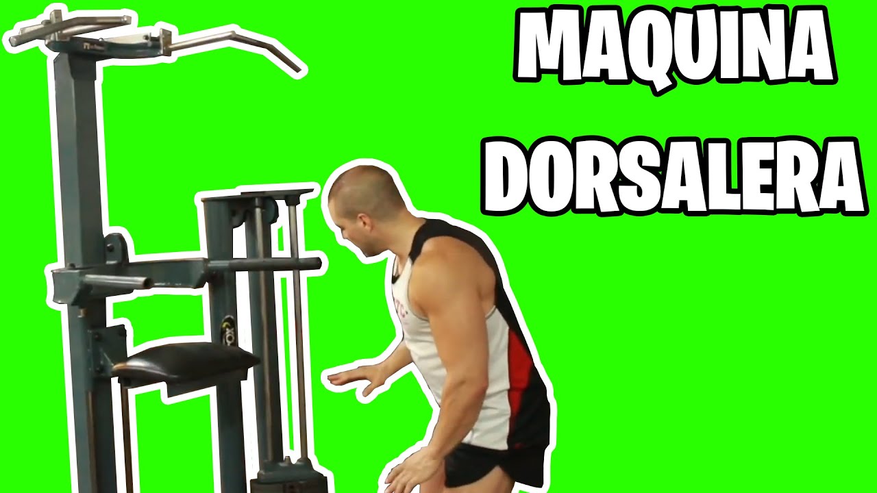 Maquina Dorsalera DOBLE GYM