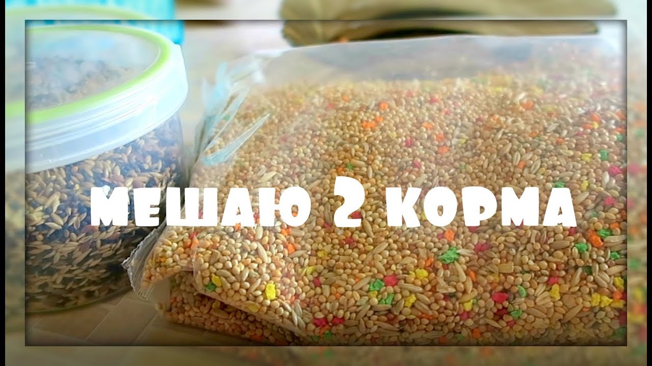ПОЧЕМУ МЕШАЮ КОРМ ДЛЯ ПОПУГАЕВ?