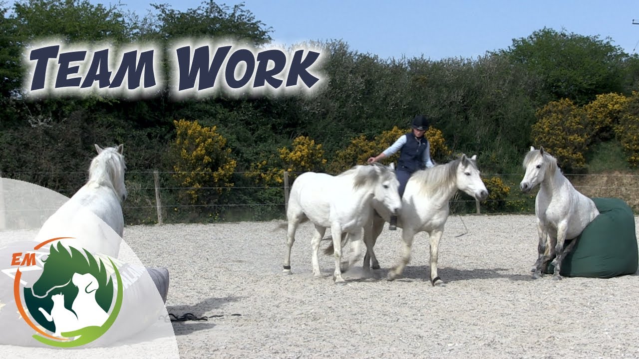 Connemara Team at Liberty