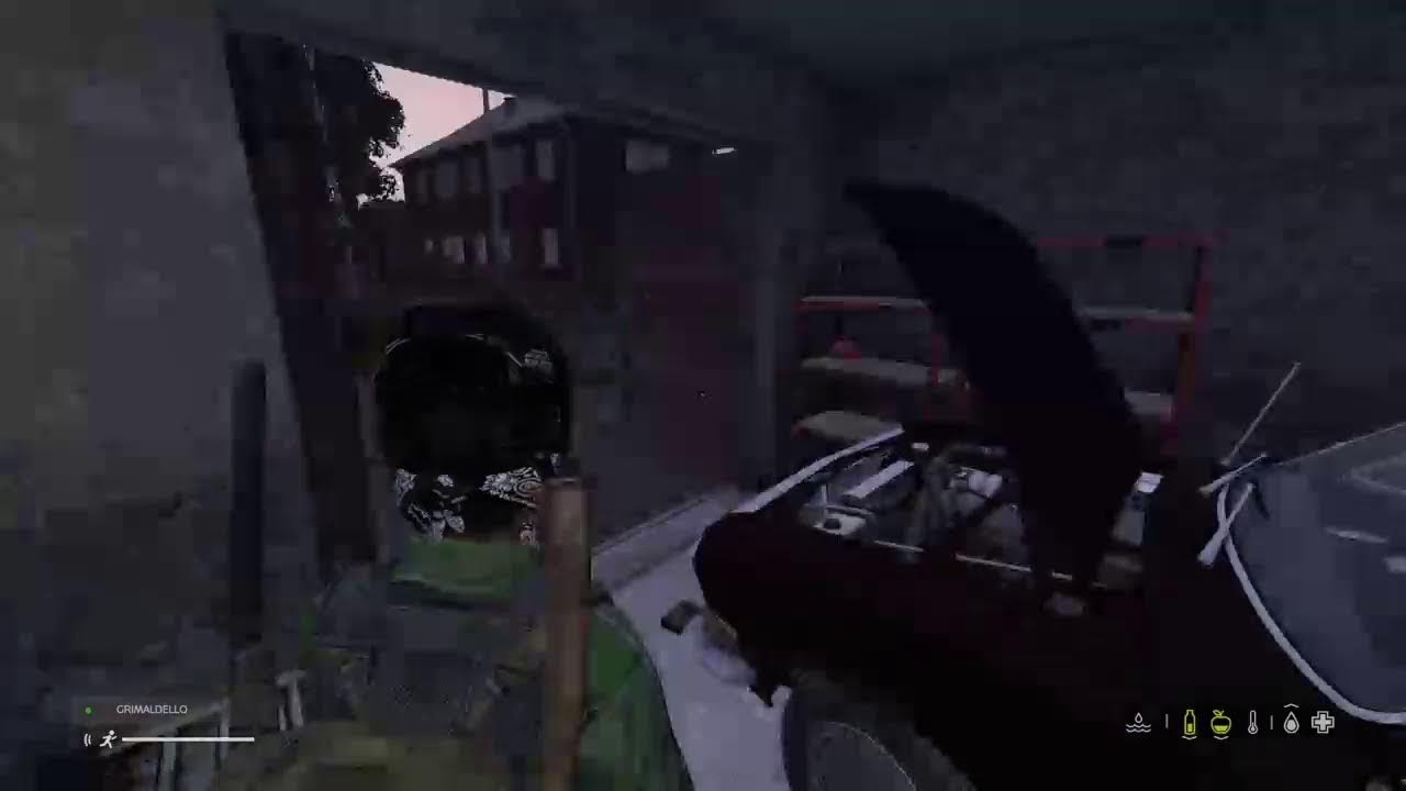Dayz