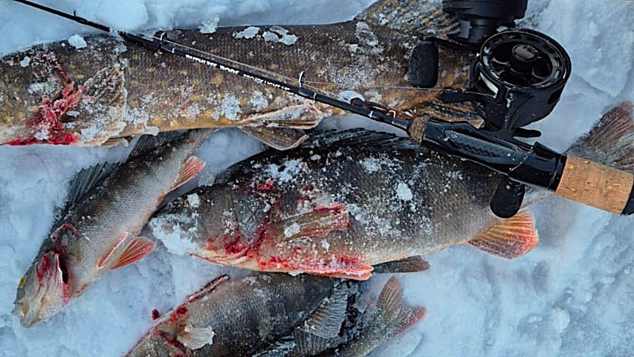 PILKILLÄ | KUUSAMON PIENET JÄRVET | JIGIPILKINTÄÄ