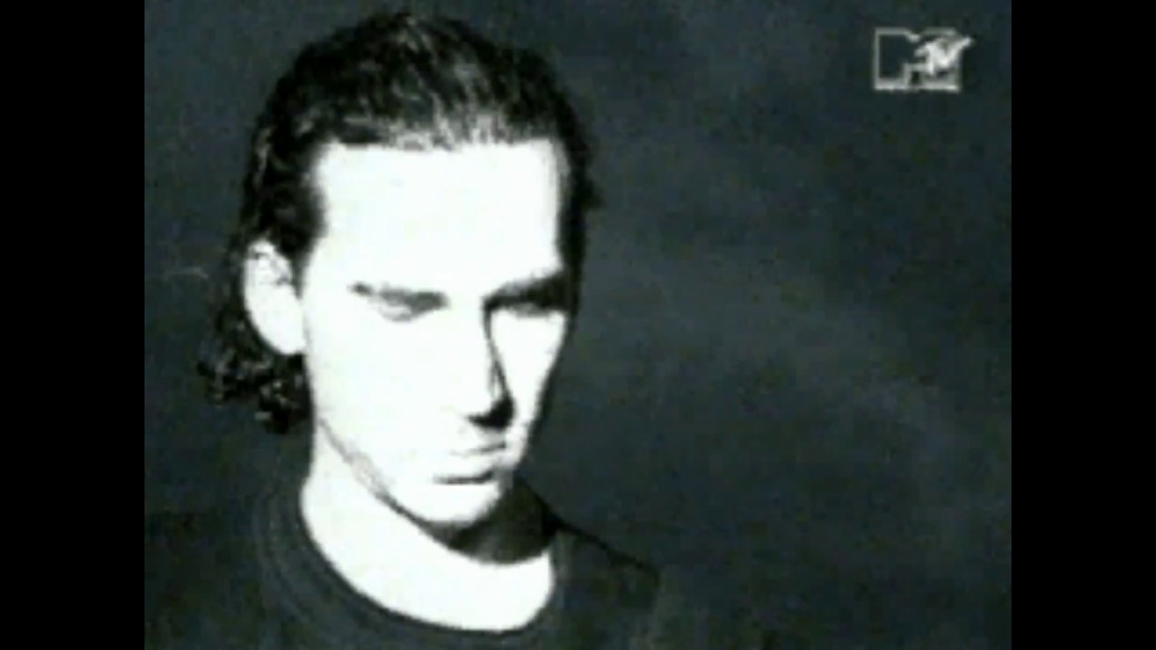 Toyen - Last free Swans! - 1992