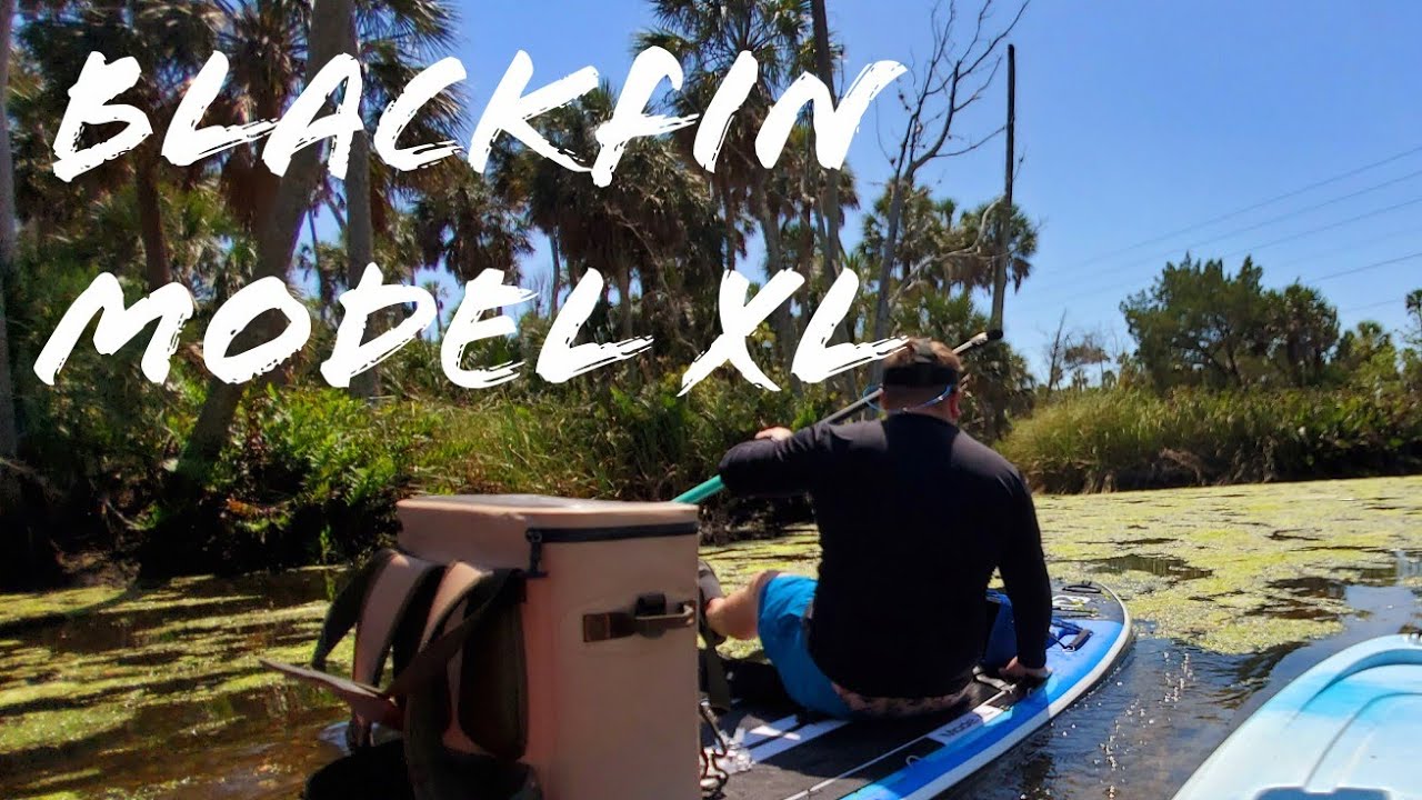 Spent The Day On The Blackfin Model XL by iRocker - Paddle Boarding and Snorkeling!