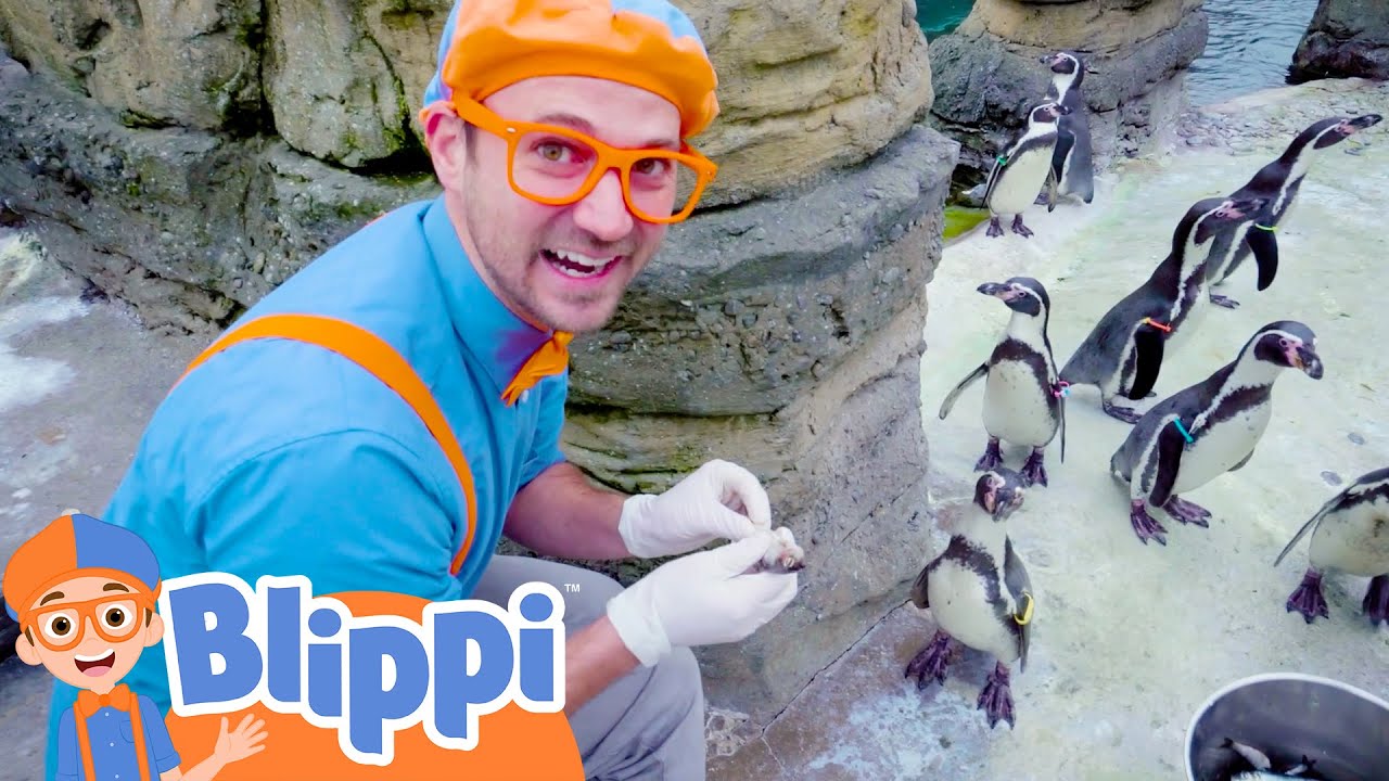 Blippi's Penguin Playtime! | Blippi Educational Videos | Party Playtime!