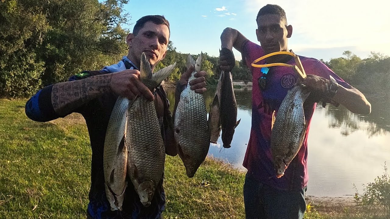 PESCA COM ESTILINGUE COM O AMIGO MINEIRO! VENTANDO SAI CURIMBA TAMBÉM!🏹🎣#curimba #pescacomestilingue