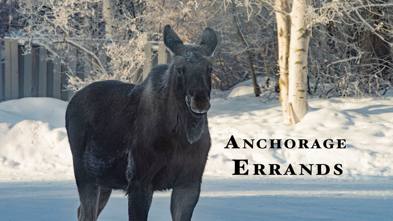Alaska Episode 54 : Errands in Anchorage Alaska | Alaska Winter Roads