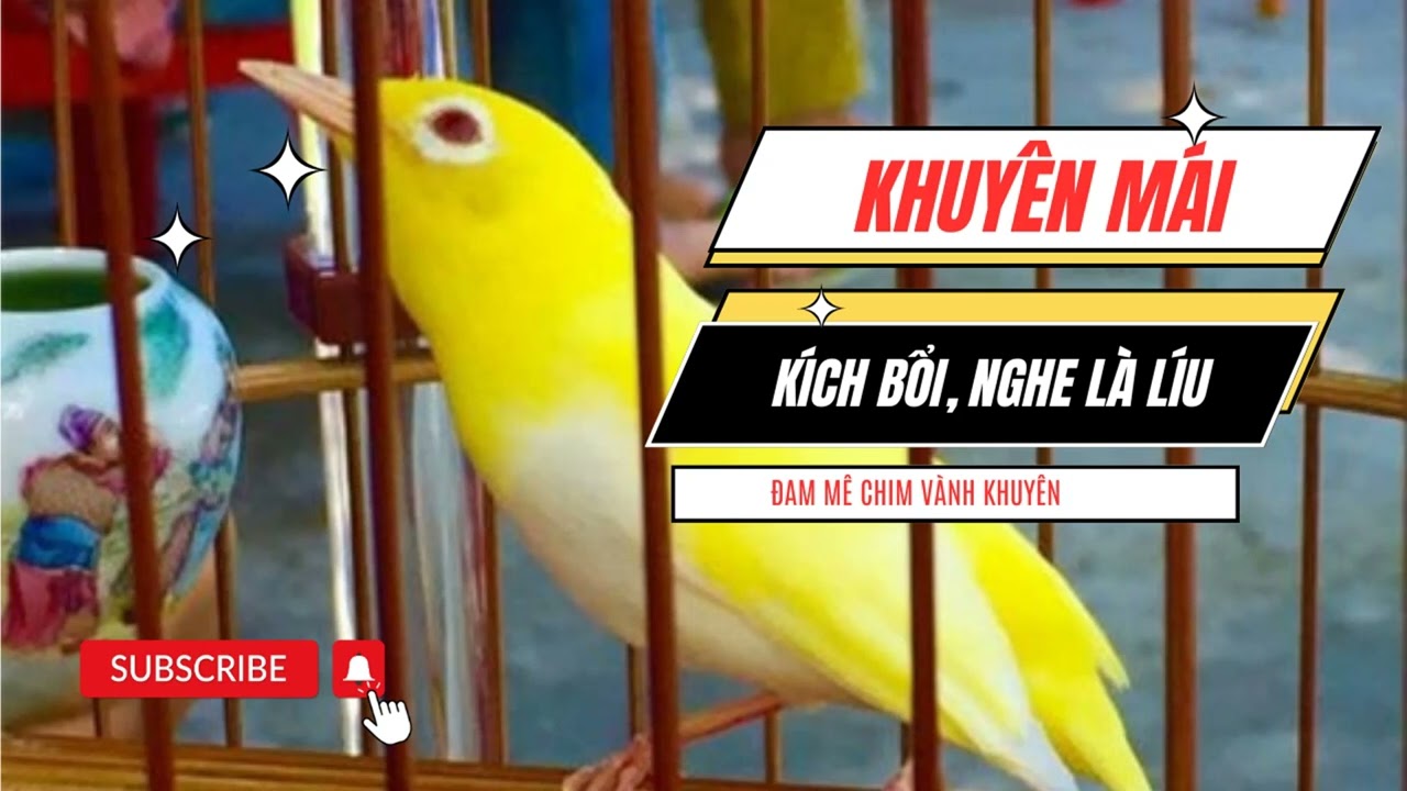 Khuyên Mái Cực Dâm Rên Liên Tục - Dành Cho Chim Yếu Lửa - Chim Mồi Sung Hơn | CVK