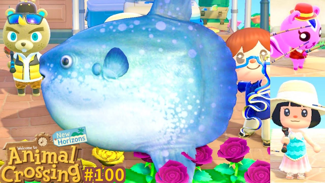 Jour 114 🐟 Tournoi de pêche Pollux LUNE DE MER 🌊 Énorme poisson Animal Crossing New Horizons #100