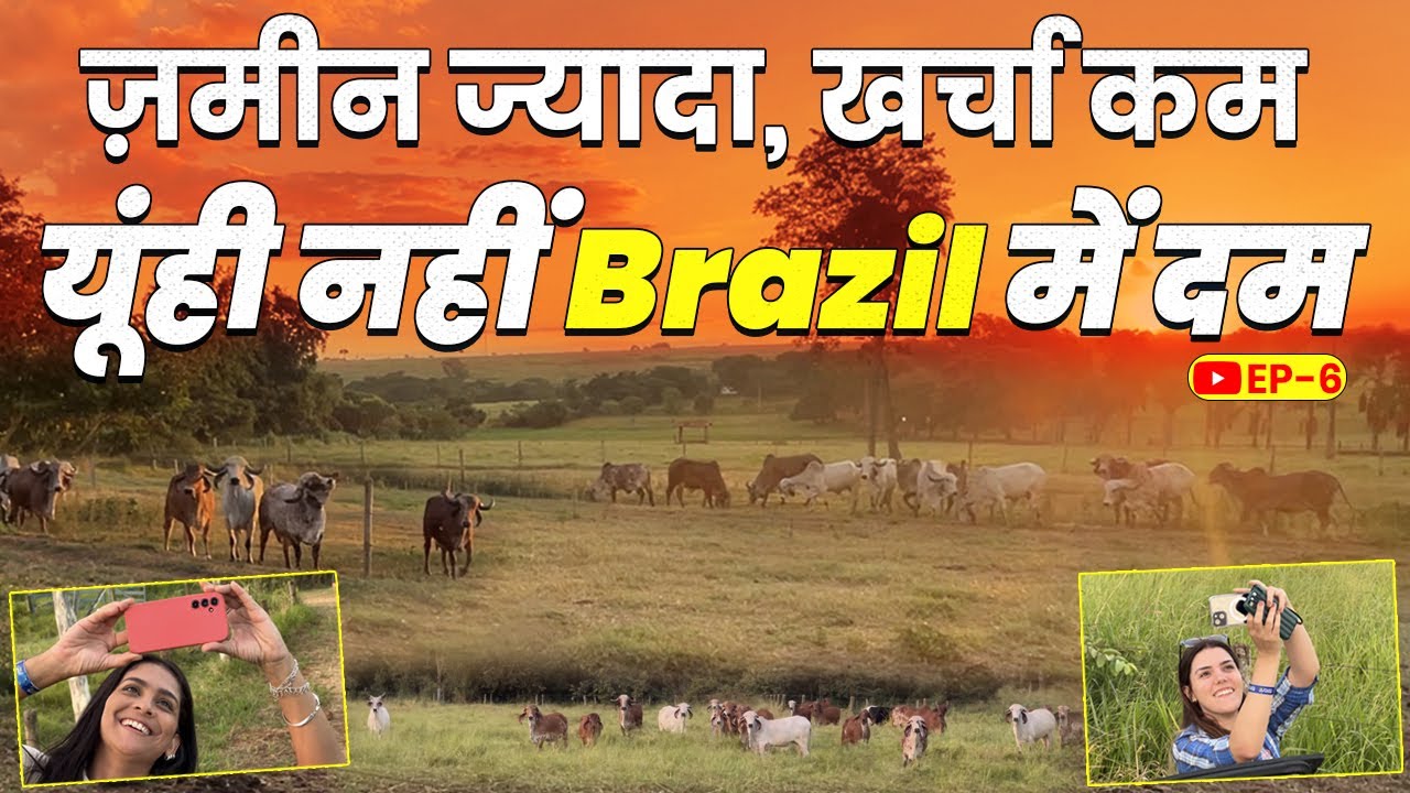 जो Bharat की पहचान थी वो अब Brazil की ताकत है, ऐसे पलती हैं कम खर्चे में गाय । EP-6 । Mati India ।