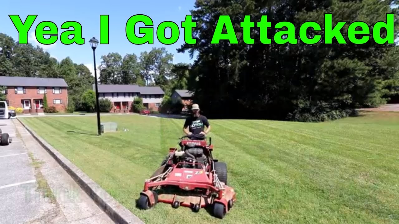 Assaulted on a Property While Mowing