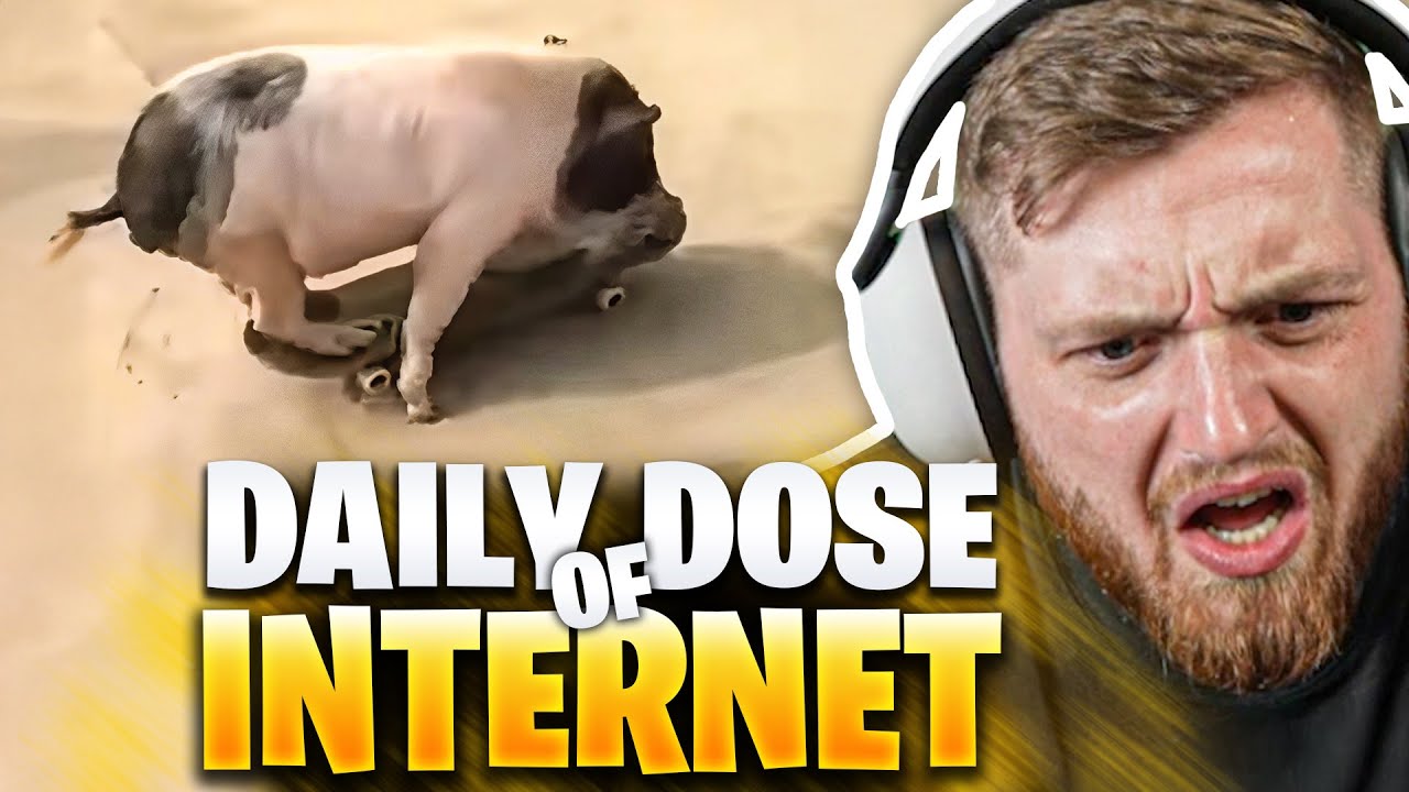 😂🤯Das SCHWEIN kann SKATEBOARD FAHREN? - Daily DOSE REAKTION | Trymacs Stream Highlights