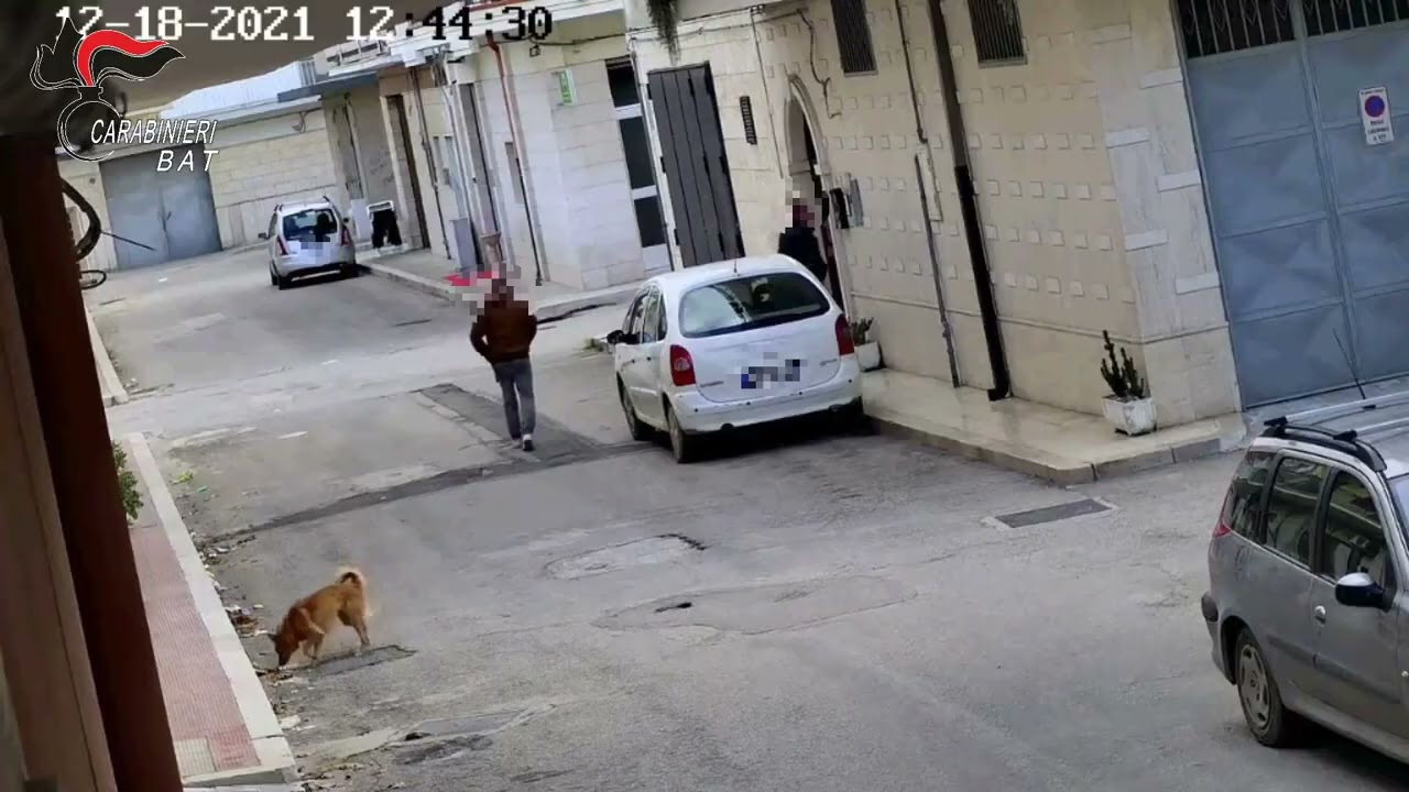 Droga, sette arresti a Trinitapoli: blitz dei carabinieri nelle 