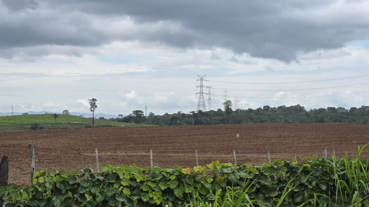 Começou o plantio da soja em Roraima, vicinal 22 de Caracarai.