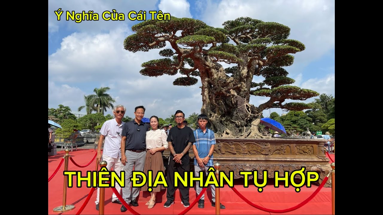 THIÊN ĐỊA NHÂN TỤ HỢP - Ý NGHĨA CỦA CÁI TÊN VÀ NHỮNG CẢM XÚC CÒN ĐỌNG LẠI... l Chiến Râu Bonsai