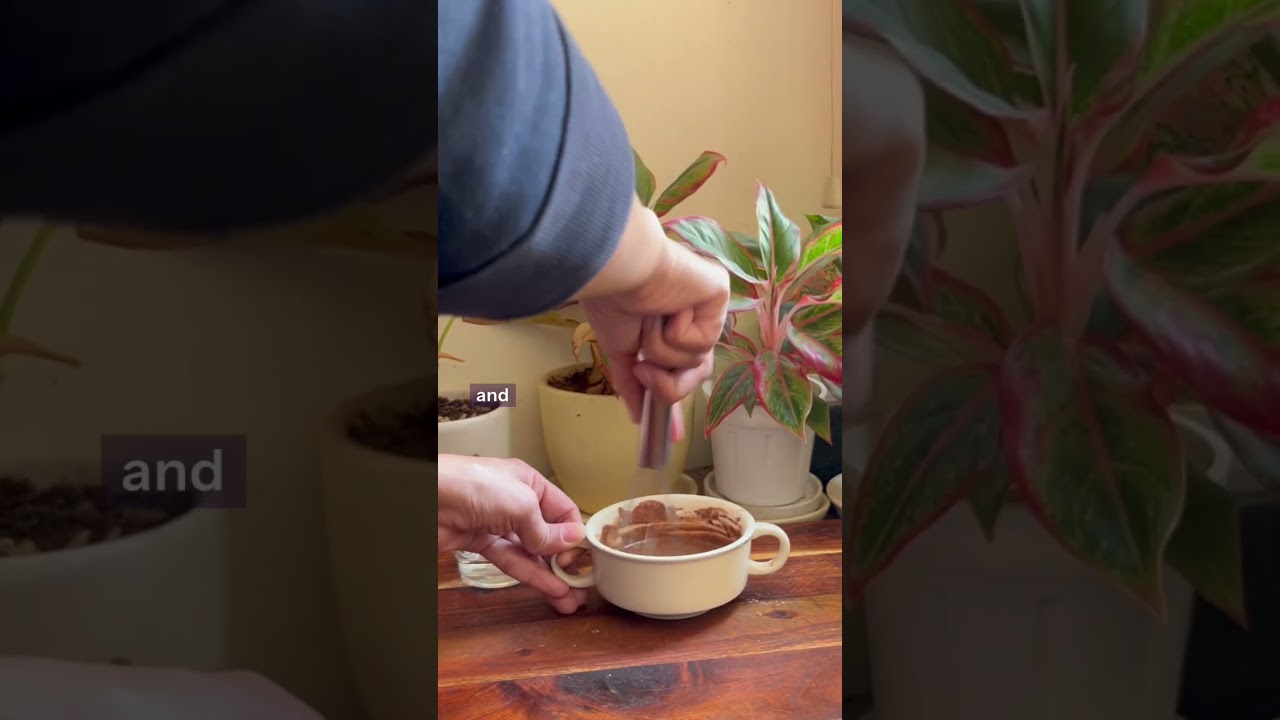 Шоколадно-солодовый напиток из раги с высоким содержанием белка 🥣🍫 | Зимний завтрак и вечерний пе...