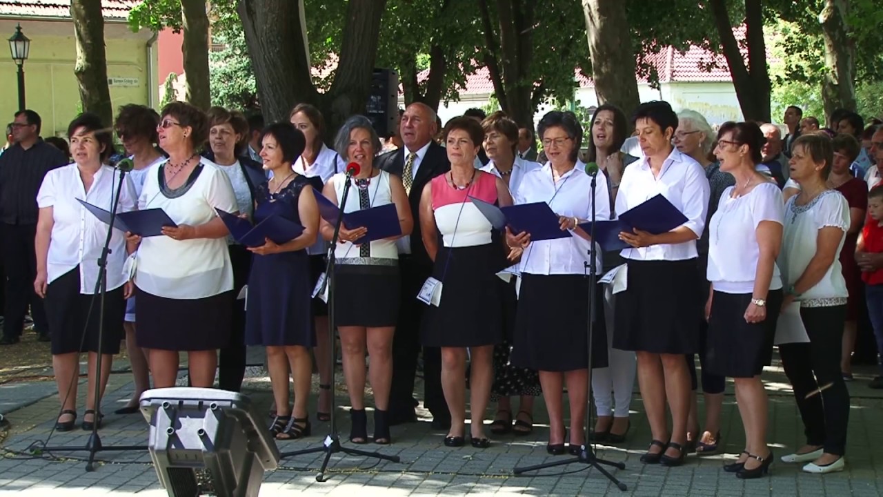 Mórahalmon is elballagtak a nyolcadikosok