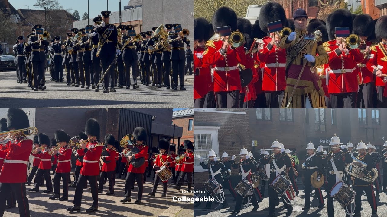 State Visit of the President of Nigeria - Bands and Troops March into Position to Streetline