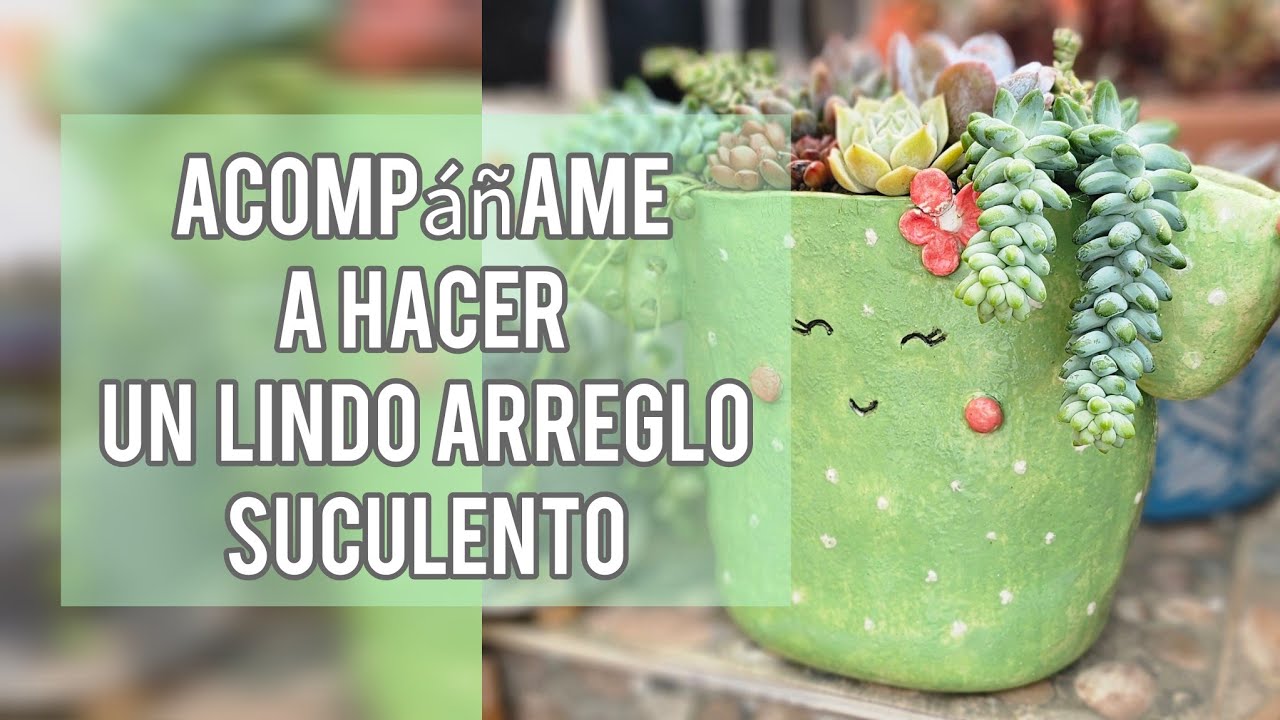 ¿Por qué me desaparecí un mes? /Acompáñame a plantar suculentas mientras te cuento /Jardín Suculento